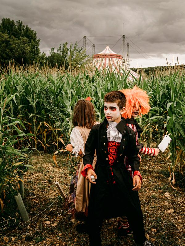 Niños en el laberinto vegetal de Sendaviva en Halloween